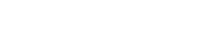 Tom's Guide